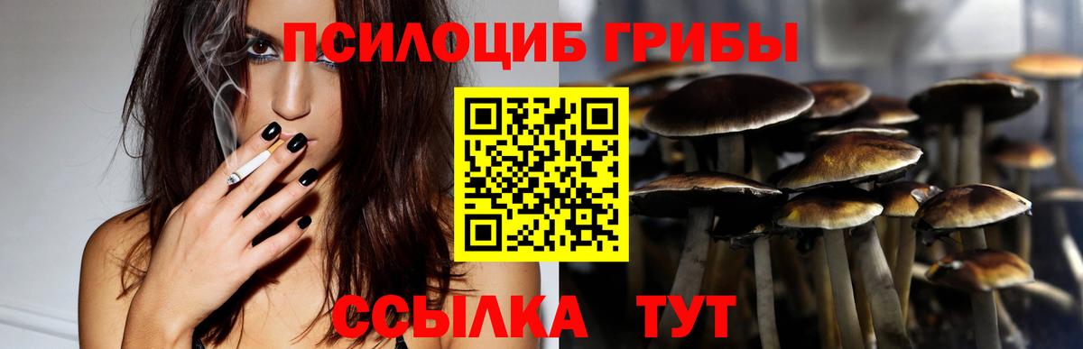 Галлюциногенные грибы Cubensis  Вход с VPN  Всеволожск 